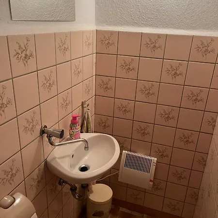Ferienwohnung Zschopautal Mittweida Exterior photo